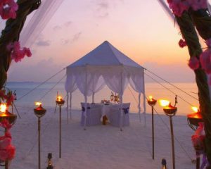 Wedding Tents