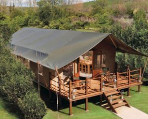 Safari Tents